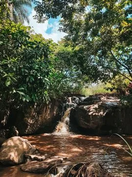 Small waterfall in the midst of virgin forest. Stock Photos