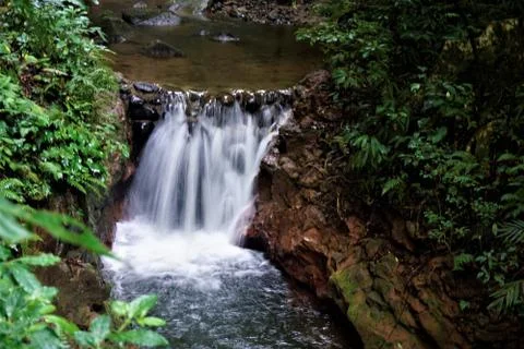 Small waterfall in the Monteverde cloud forest 库存照片