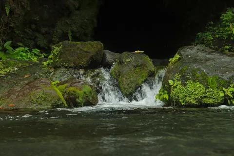Small Waterfall with Mossy Rocks Stock Photos