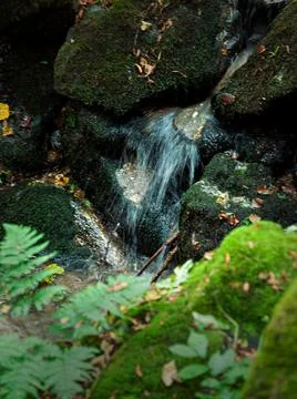Small waterfall from mossy stones Foto stock