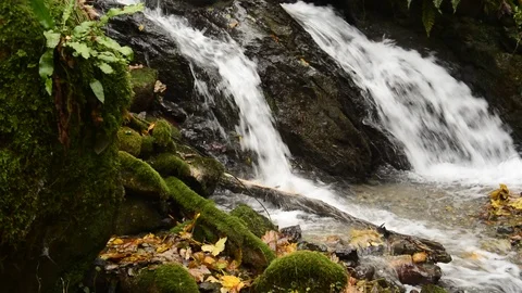 Small waterfall at mountain and orange autumn leaves on rocks Stock Footage 99322594