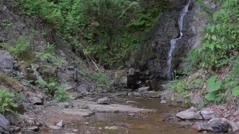 A small waterfall in a mountain forest Stock Footage 274724871