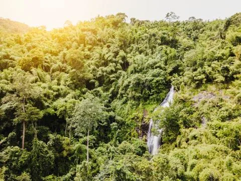 Small waterfall in mountain forest Stock-Fotos