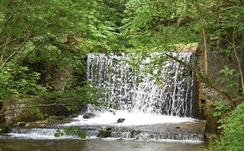 Small waterfall in mountain forest. Stock Photos