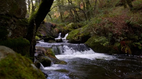 Small waterfall on the mountain river Stock Footage 119131318