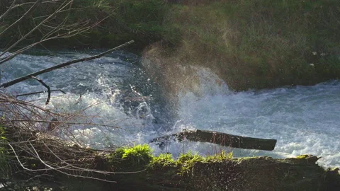 Small waterfall of a mountain river. Stock Footage 149846010