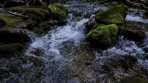 Small waterfall on mountain river. Slow motion of water flowing Stock Footage 186632351
