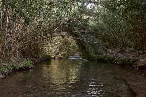 Small waterfall in a mountain river on a sunny day Stock Photos