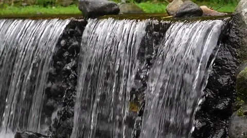 Small waterfall from mountain spring in cibodas botanical garden Video stock 303390588