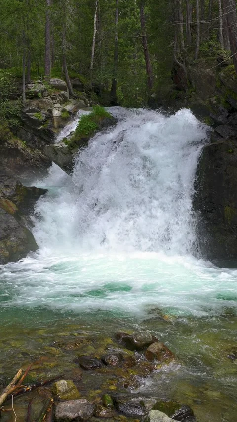 Small waterfall in mountain stream in alps forest nature, Vertical video Stock Footage 292780490