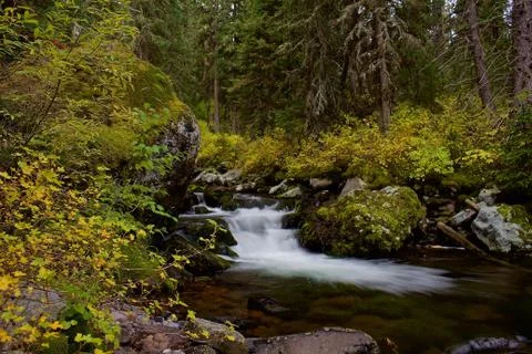 Small Waterfall on a Mountain Stream in the Fall Stock Photos