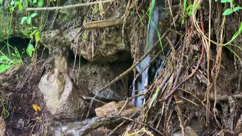 Small waterfall in a mountain stream Stock Footage 159570957