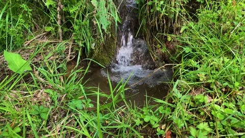 Small waterfall in a mountain stream. 库存影片 159570979