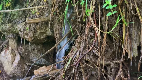 Small waterfall in a mountain stream. Stock Footage 159571004