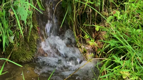 Small waterfall in a mountain stream. Stock Footage 159571079