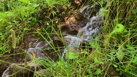 Small waterfall in a mountain stream. Stock Footage 159571104