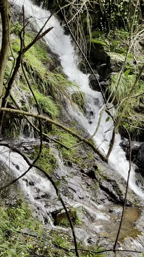 Small waterfall in a mountain stream Stock Footage 313389690