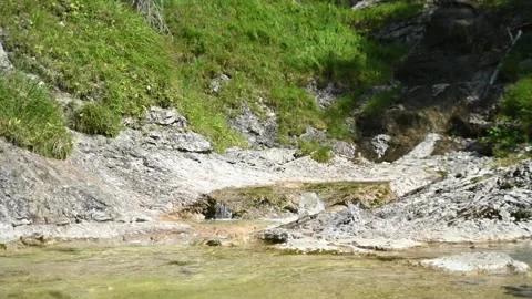 A small waterfall from a mountain stream in a forest (slow motion) Stock-Footage 219633973