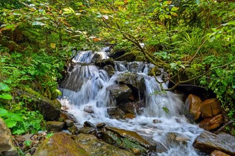 A small waterfall of a mountain stream in the forest Stock Photos