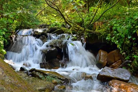 A small waterfall of a mountain stream in the forest Stock Photos