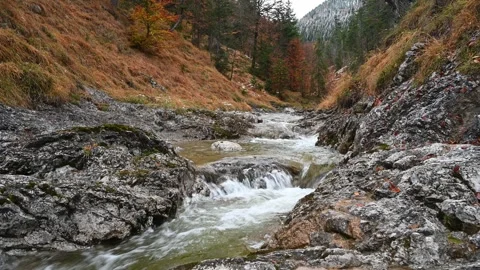 Small waterfall from a mountain stream in November 스톡 동영상 260847635
