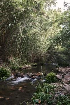 A small waterfall in a mountain stream Stock Photos