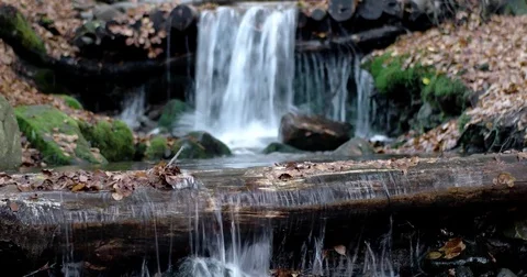 A Small Waterfall in the Mountains Autumn Forest With Yellow Foliage and Mossy Stock-Footage 71269906