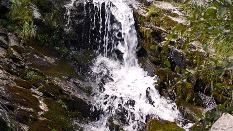 Small waterfall in the mountains 스톡 동영상 97061477