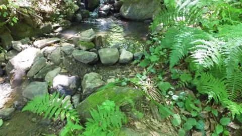 A small waterfall in the mountains. Mountain river in the gorge. Walk through Stock Footage 167382740