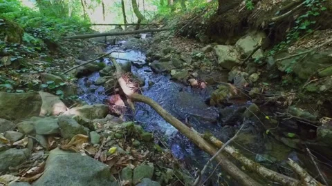A small waterfall in the mountains. Mountain river in the gorge. Walk through 스톡 동영상 168438042