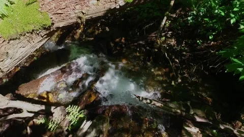A small waterfall in the mountains. Mountain river in the gorge. Walk through Stock Footage 168995226