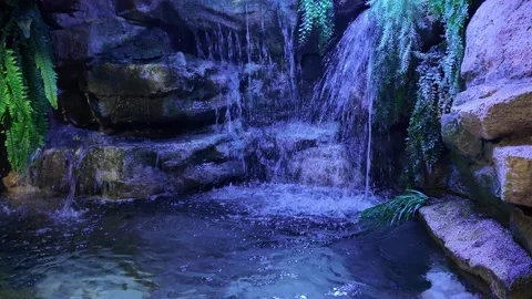 Small waterfall with multi -layers of stone and green plants. Stock Footage 308232026