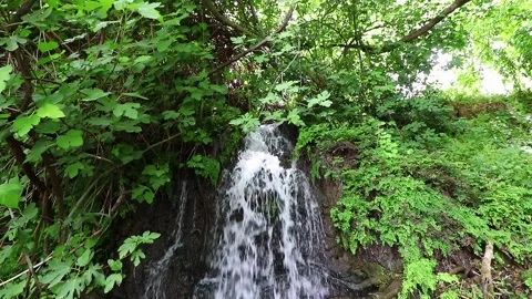 A small waterfall in the Nahal Dan Nature Reserve, a sunny summer day Stock Footage 235582833