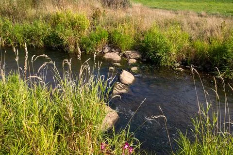 A Small waterfall next to a rock through a small stream Stock Photos