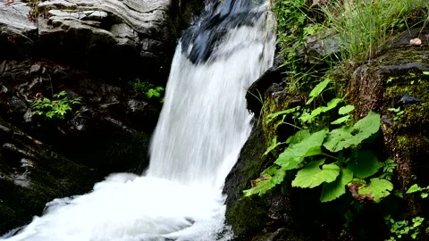 Small waterfall in north Macedonia 스톡 동영상 205721773