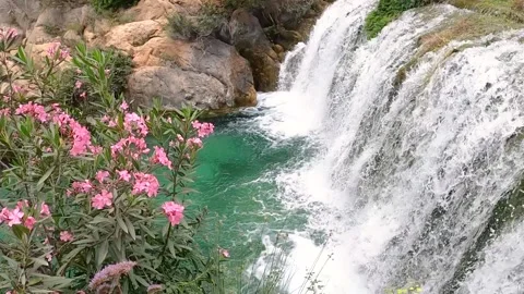 Small waterfall with an oleander in the foreground the water in slow motion Stock Footage 194820121