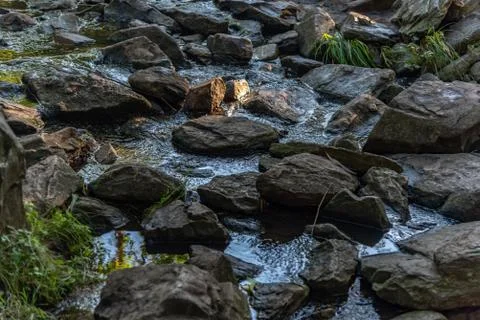 Small waterfall or cascade captured near the water surface full of rocks and  Stock Photos