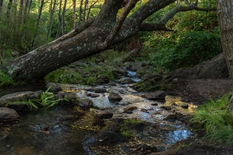 Small waterfall or cascade captured near the water surface full of rocks and  Stock Photos