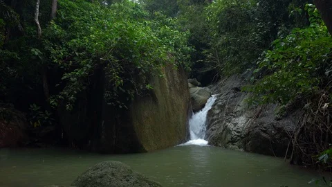 Small waterfall or cascade falling down rocky slope and thicket of topical plant Stock Footage 94272611