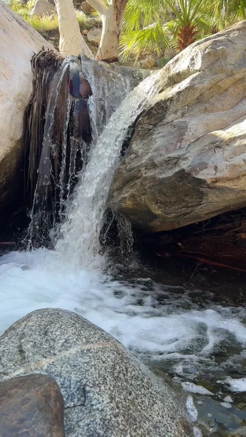 Small Waterfall Over Granite Rocks in Palm Oasis Stock-Footage 331259561