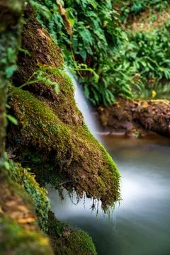 Small waterfall over mossy rocks long exposure lush green Stock Photos