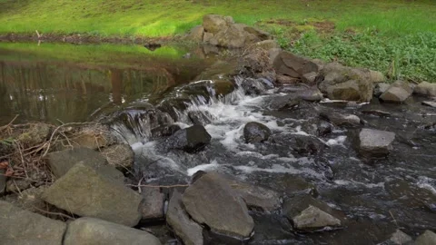 Small waterfall over stones in a forest stream 스톡 동영상 320661007