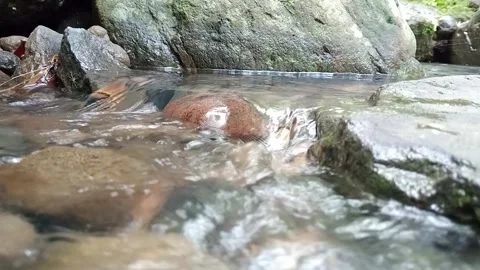 Small Waterfall Over Stones in Jungle River | Tropical Cascade Close-Up Stock Footage 330545965