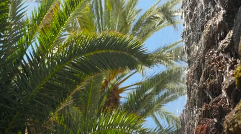 Small waterfall with palm trees Stock Footage 62325395
