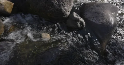 Small Waterfall Pan Left to See Larger Stream with in the Winter Dead Trees Stock Footage 146661826