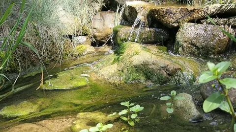 Small waterfall in park Stock Footage 75163327