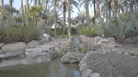 A small waterfall in the park. Stock Footage 98356602