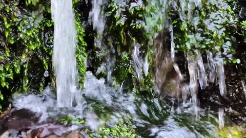 Small waterfall in the park Stock Footage 171967148