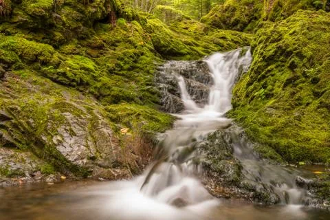 Small waterfall in the park Stock Photos