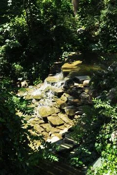 A small waterfall in the park. Stock Photos